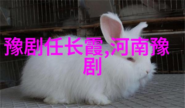 崇正朝五台