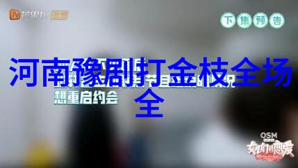 豫剧艺术特色
