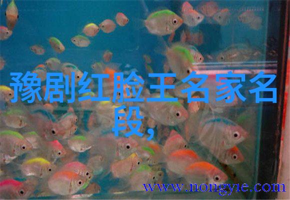 豫剧的起源介绍