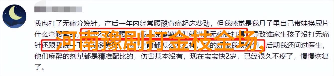豫剧名家宋丽珍